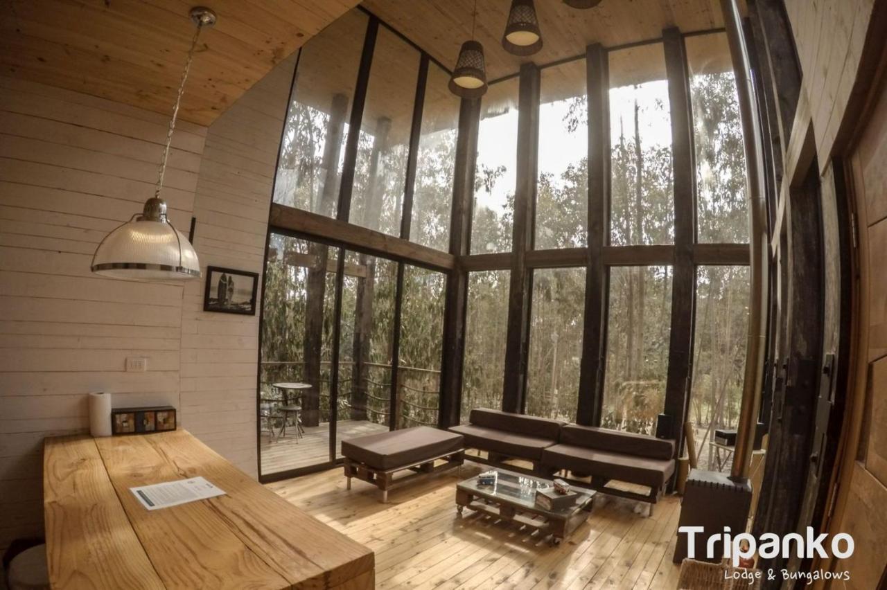 Tripanko Lodge & Bungalows Pichilemu Eksteriør bilde