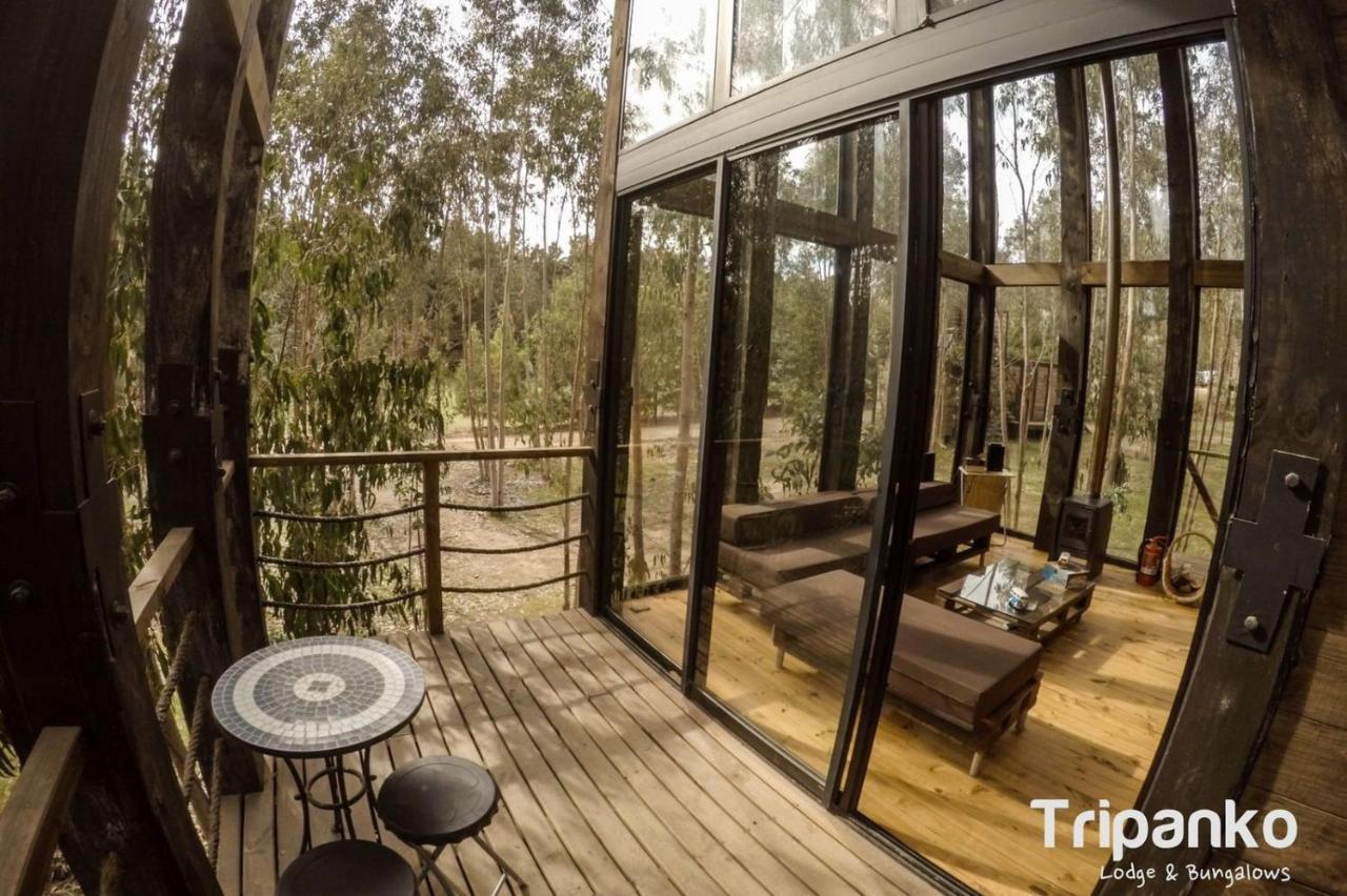 Tripanko Lodge & Bungalows Pichilemu Eksteriør bilde
