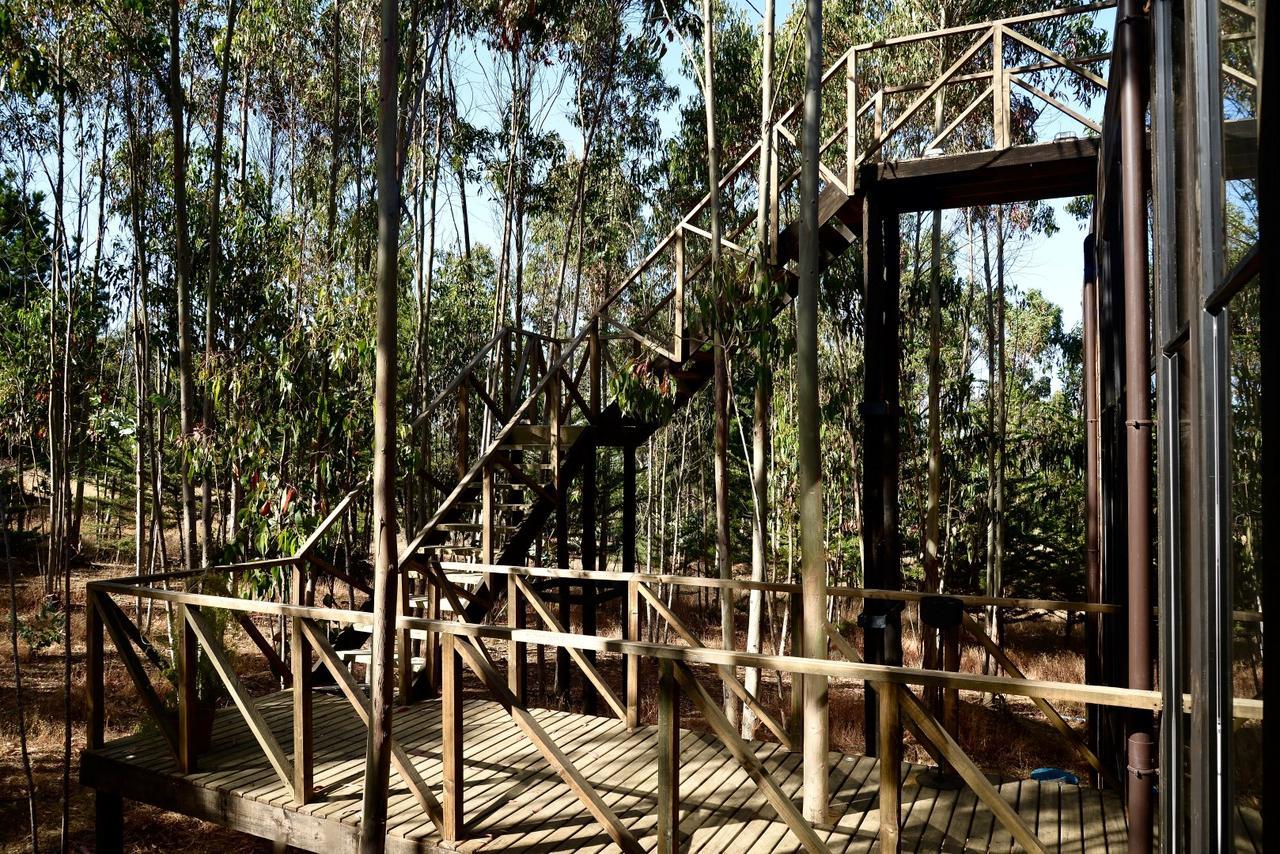 Tripanko Lodge & Bungalows Pichilemu Eksteriør bilde