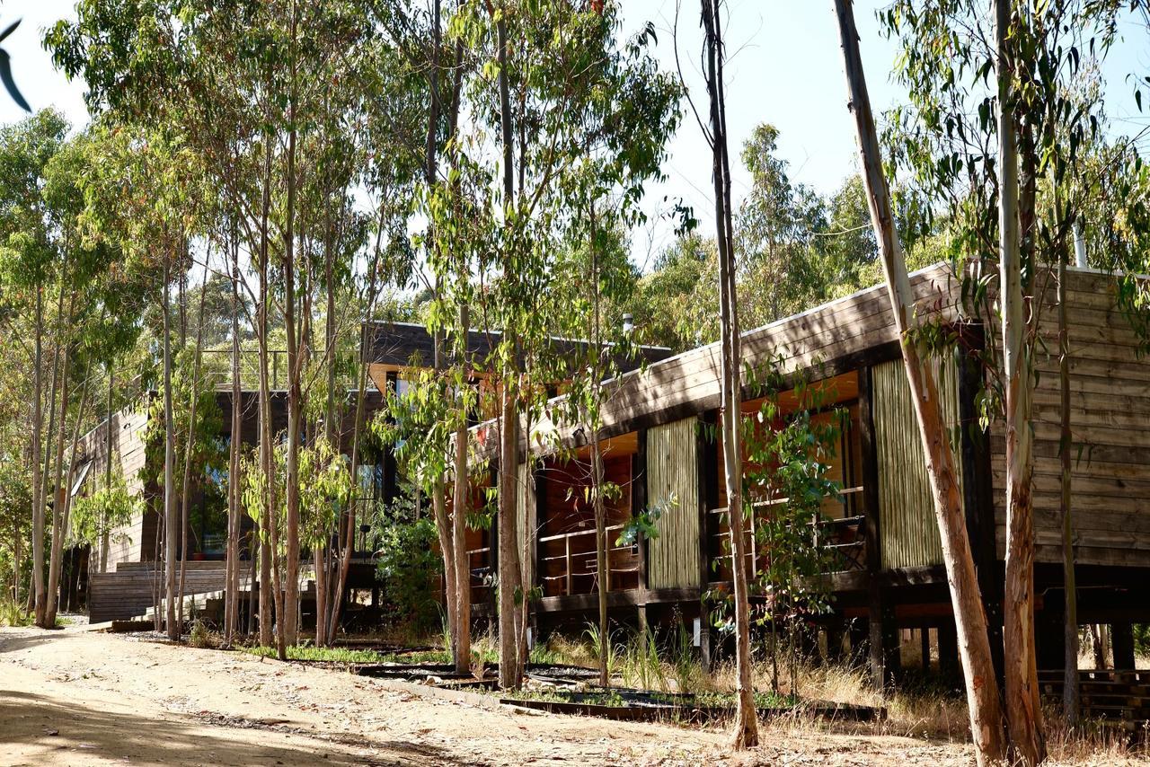 Tripanko Lodge & Bungalows Pichilemu Eksteriør bilde