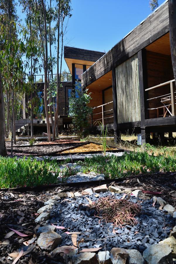 Tripanko Lodge & Bungalows Pichilemu Eksteriør bilde
