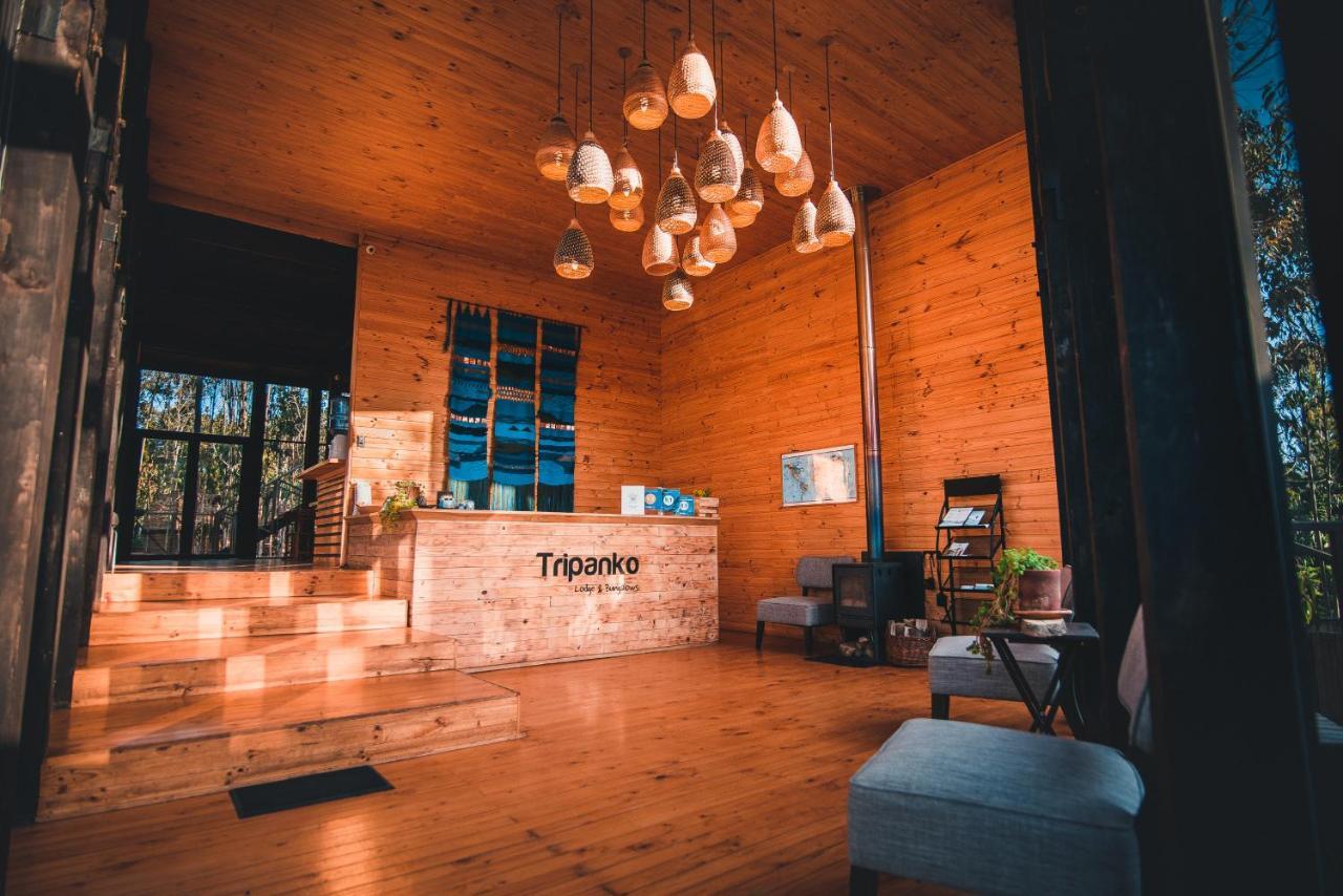Tripanko Lodge & Bungalows Pichilemu Eksteriør bilde